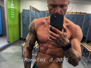 Monster_d_3035