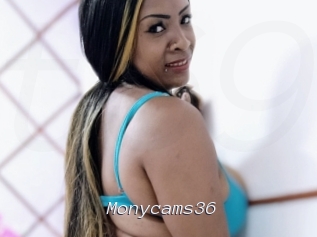 Monycams36