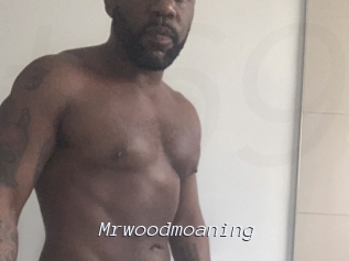 Mrwoodmoaning
