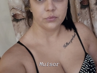 Muisor