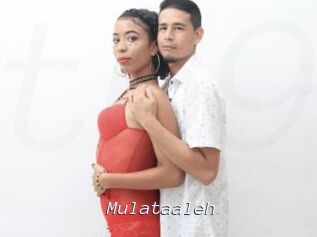 Mulataaleh
