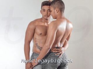 Musclegaybigcock