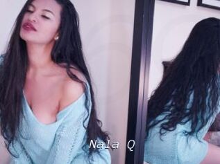 Nala_Q