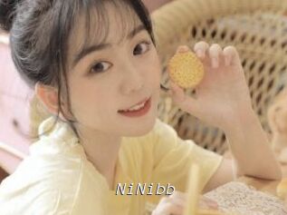 NiNibb