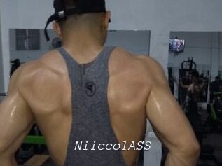 NiiccolASS