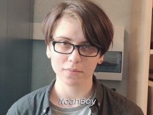 NoahBoy