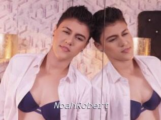 NoahRobert