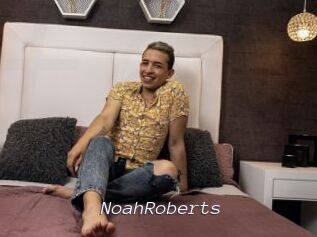 NoahRoberts