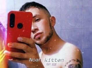 Noah_kitten