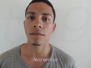 Noren_tor