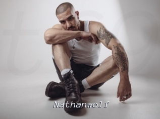nathanwolf Tel 69 Salopes