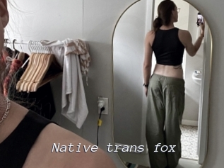 Native_trans_fox