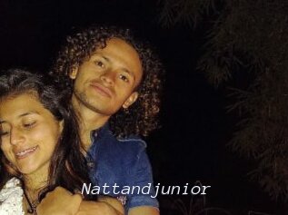 Nattandjunior