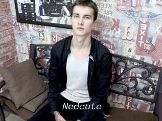 Nedcute