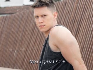 Neilgaviria