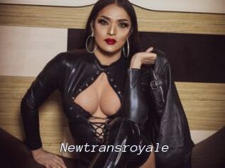 Newtransroyale