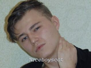 Niceboyscot