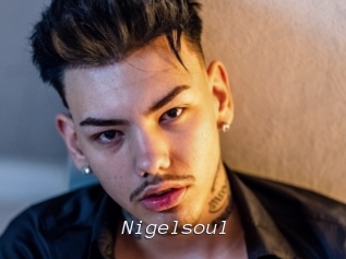 Nigelsoul