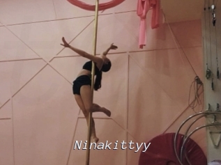 Ninakittyy