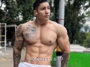 Noaharris19