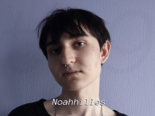 noahhilles Tel 69 Salopes
