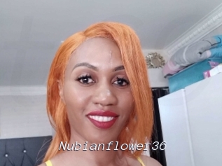 nubianflower36 Tel 69 Salopes