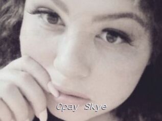 Opay_Skye