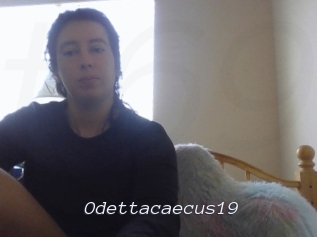 Odettacaecus19