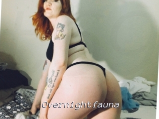 Overnightfauna