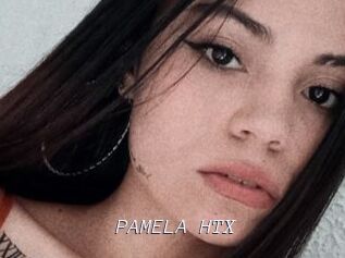 PAMELA_HTX