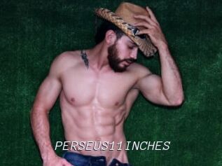 PERSEUS11INCHES