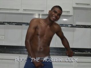 POOL_THE_MOSTER_COCK