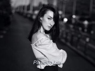 PaleDaisy