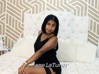 PamelaTuner