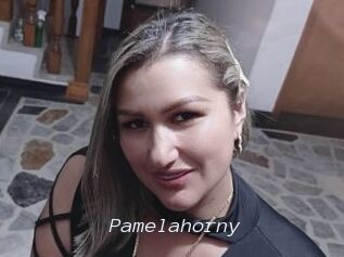 Pamelahorny