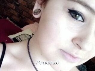 Pandaxo