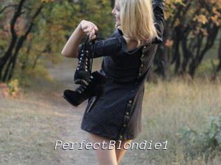 PerfectBlondie1