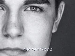 PerfectMind