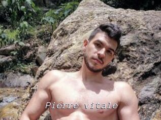 Pierre_vitale