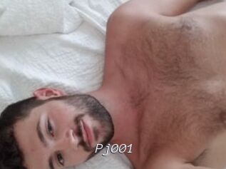 Pj001