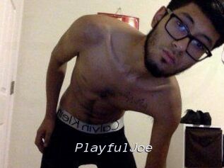 PlayfulJoe