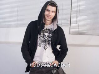 PlayfulNigel
