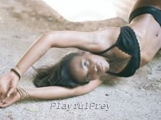 PlayfulPrey