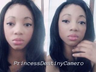 PrincessDestinyCamero