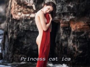 Princess_cat_ica