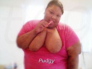 Pudgy