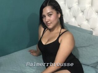 Palmerrbrousse