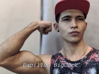 Papillon_BigCock