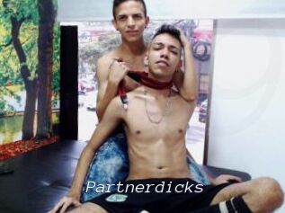 Partnerdicks