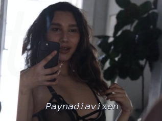 Paynadiavixen